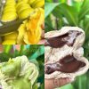 LỚP BÁNH BAO _ 6 LOẠI NHÂN LAVA